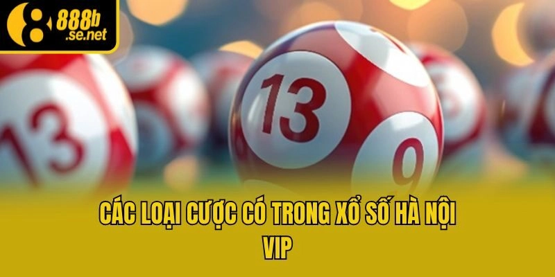 Các loại cược có trong Xổ Số Hà Nội VIP