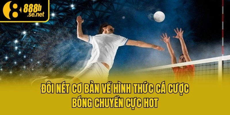 Đôi nét cơ bản về hình thức cá cược bóng chuyền cực hot