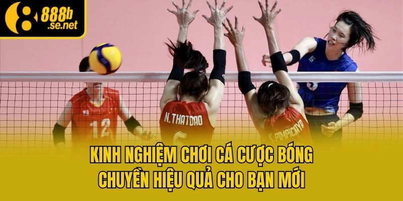Kinh nghiệm chơi cá cược bóng chuyền hiệu quả cho bạn mới